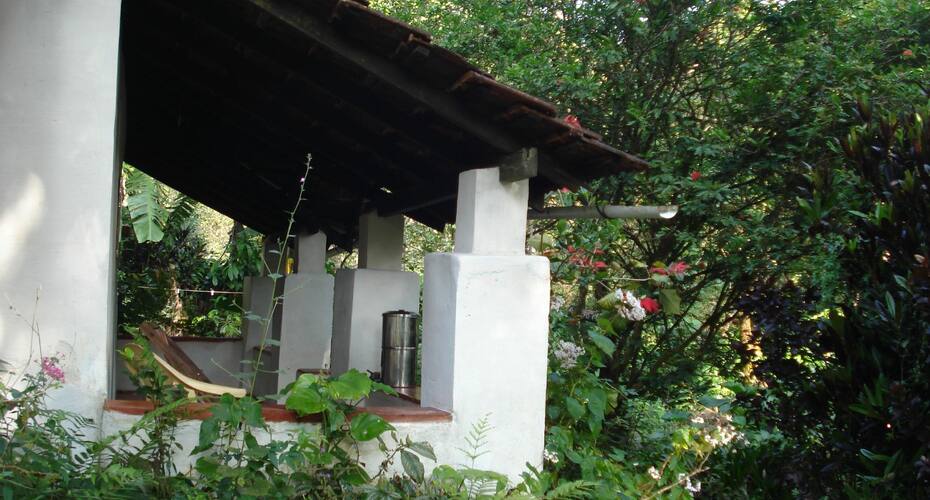 Rainforest Retreat, Madikeri 5